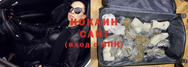 стаф Верея