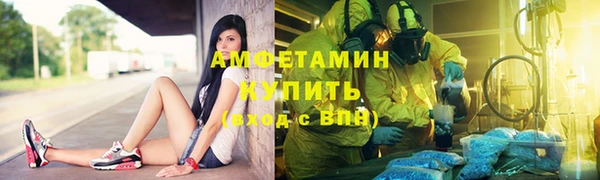 стаф Верея