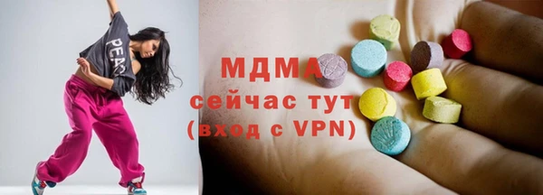 стаф Верея