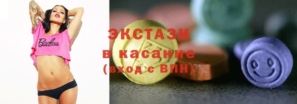стаф Верея