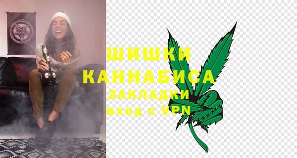стаф Верея