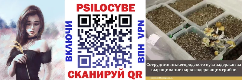 Галлюциногенные грибы ЛСД  Купить  Валуйки 